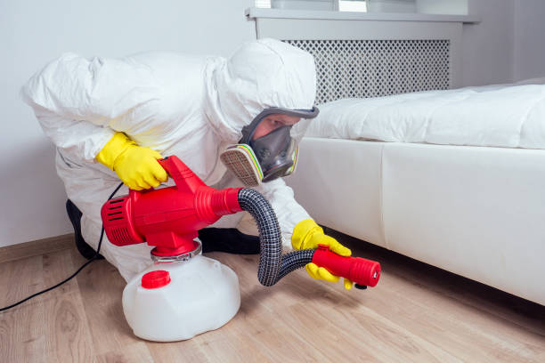 Best Local Pest Control Services  in Berwick, LA