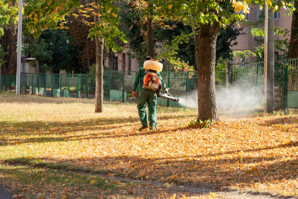 Best Pest Removal Services  in Berwick, LA