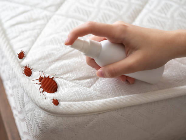 Best Pest Prevention Services  in Berwick, LA