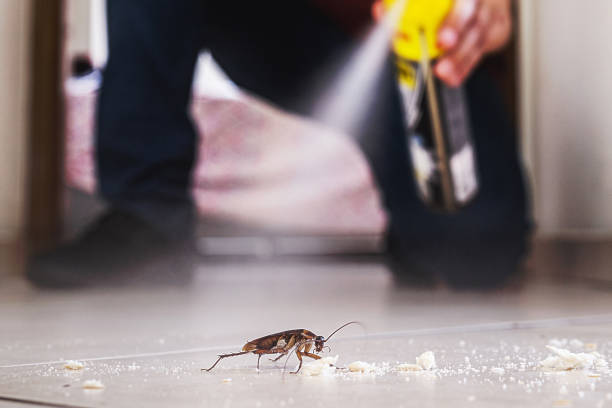 Best Pest Prevention Services  in Berwick, LA