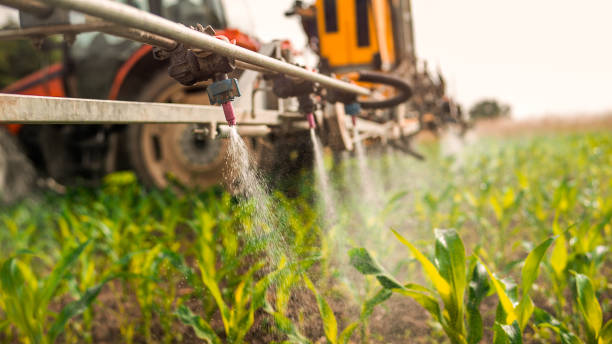 Best Ant Control Services  in Berwick, LA